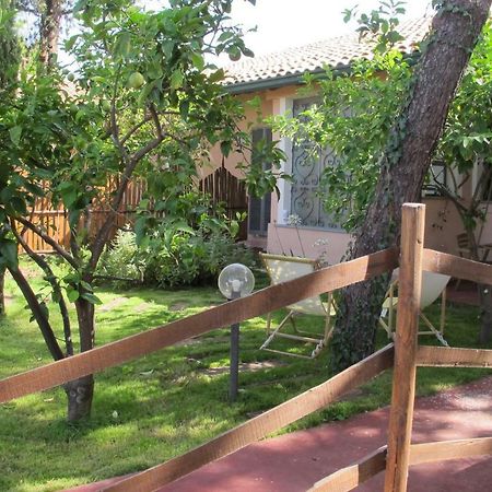 Casa Vacanze Amaryllis Mascalucia Bagian luar foto
