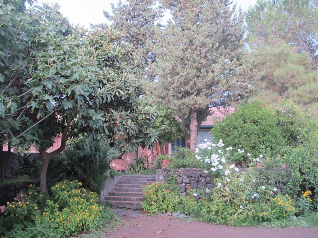 Casa Vacanze Amaryllis Mascalucia Bagian luar foto